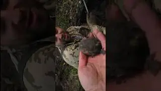 Совсем нестандартная находка в немецком блиндаже. И как оно сохранилось?! #metaldetecting #relic