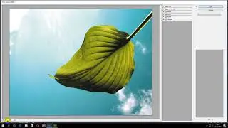 Video 2017 12 21 filter