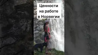 Ценности на работе в Норвегии #норвегия