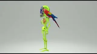 The Living Skeletons - Opensea - NFT #23