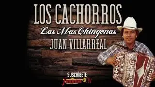 Los Cachorros De Juan Villarreal - Las Mas Chingonas / Playlist Oficial