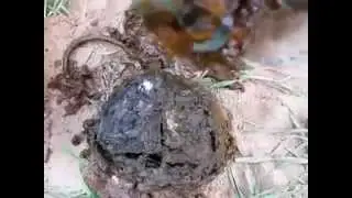 Клад нашли! The treasure found