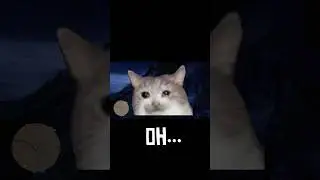 Glitchy Red Dead Online Moments