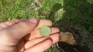 Жесть монеты одна за другой, всем такого копа