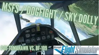 MSFS / Dogfight / Sky Dolly  (P40 vs. BF 109)