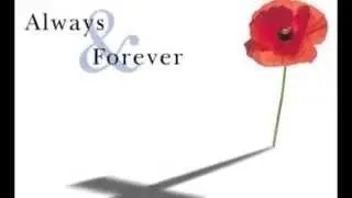 remembrance day 2014  November the 9th never forget all the soldiers who died for our freedom