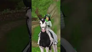 FINALLY LEVEL 23 | Star Stable Short