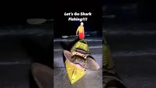 Let’s Go Shark Fishing!!!!! 