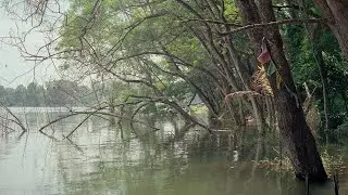 Photographing Tampines Quarry