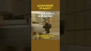 ДОМАШНИЙ БУДДИСТ #мультик #отрывок #юмор #приколы #длядетей #shorts
