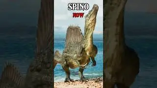 SPINO THEN VS NOW 