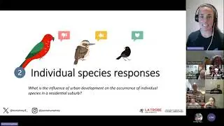 Birds Meet: Urban Development