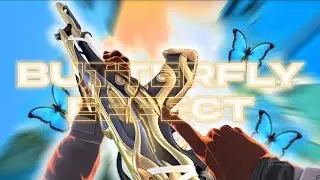 THE BUTTERFLY EFFECT! A VALORANT MONTAGE