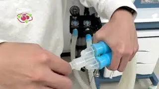 7-Connect Breathing Circuit Pipeline_GSM-IIB