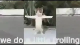 cot