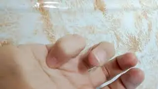 Когда выводить щенка гулять.