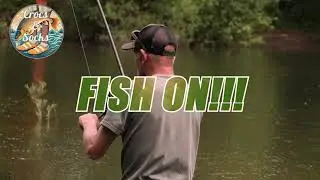 Crocs and Socks - S1 Episode 4 - Trailer