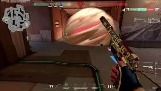 Lonewolf 🤟 | Valorant Montage