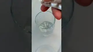 Как избавиться от укуса БОБРА. Последствия укуса.
