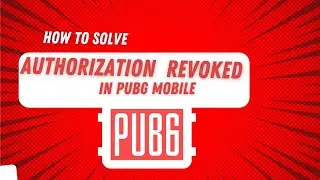 How to solve Authorization Revoked Issue in PubG Mobile