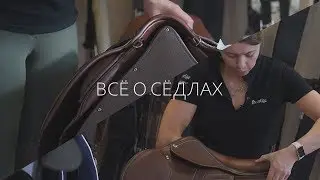 ВСЁ О СЁДЛАХ: ВВЕДЕНИЕ