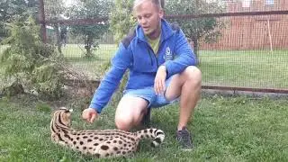 Wakacyjne Wędrówki Radia Gdańsk. Odwiedzamy Lemur Park w Rumi