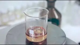 #ВОНА. Глава 2