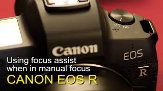 Using manual focus assist tools with the Canon EOS R
