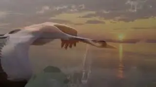 За тихой рекою