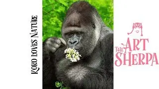 How to paint Koko the Gorilla step by step Acrylic for beginners | TheArtSherpa