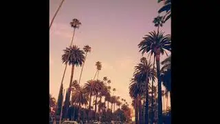 LoopZilla - Midnight