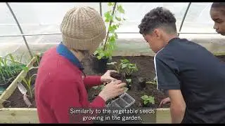 Seyi Adelekun: The Diaspora Garden | Community garden in the heart of south London