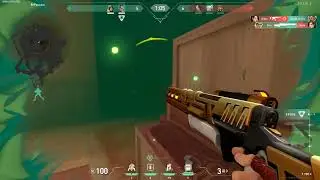 chamber ace