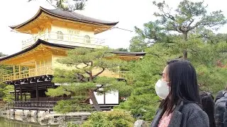 Golden Pavilion Kyoto🇯🇵 #shorts #travelvlog #japan #visitjapan #traveljapan #kyoto