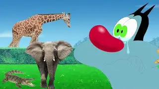 Oggy and the Cockroaches 😅 NEW PETS - Full Episodes HD