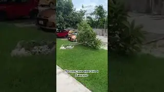 Последствия урагана Берил в Канкуне #мексика #канкун #берил