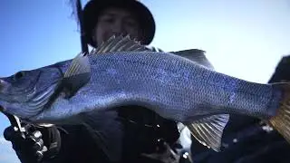 DAIWA 24 CERTATE LT