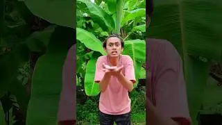 es krim atau matoa sep #shorts #funny #comedy #viral