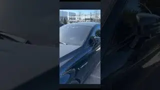 Венгалби выиграл🧐 #shortsvideo #shortvideo #wengallbi #венгалби #тамаев
