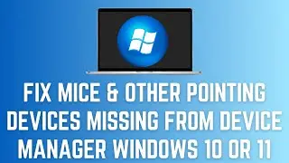 Mice And Other Pointing Devices {Mouse & Touchpad Driver} Missing From Device Manager Windows 10/11
