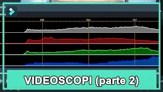 Cosa Sono i Videoscopi (parte2): Esposizione e Vettoscopio | Wondershare Filmora Tutorial