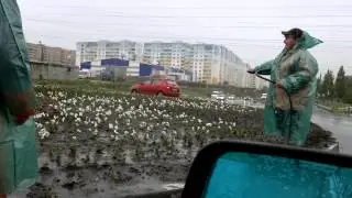 АвтоПрикол.