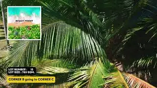 785 sqm Palawan Beach lot for sale - Palm Shore Gold LOT 15