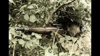 HLL How to Recon in force
