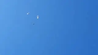 Бойные голуби Казахстана Асхата Талдыкорган