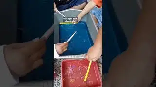 Sensory play | Bermain air & menangkap karet dgn sumpit #sensorik #melatihkesabaran #mengenalwarna