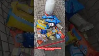 Щедрость магазина на Саушкина ( Питер). Не просрочка.