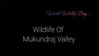 Be Wild... | Wildlife Of Mukundraj Valley | Ambajogai | Wildlife Film