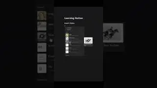 Learning Notion? Check out my channel for full tutorials on how to navigate Notion!