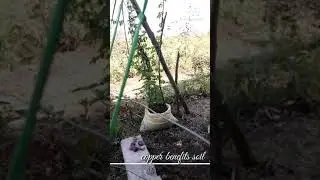 #sort  copper benefits soil